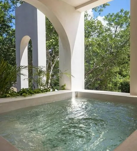 Newprivate Pool.200mb.#1 Rooftop Tulum